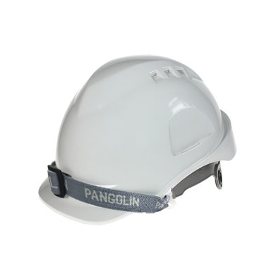 หมวกนิรภัย PANGOLIN รุ่น HLMT9001-S2WH